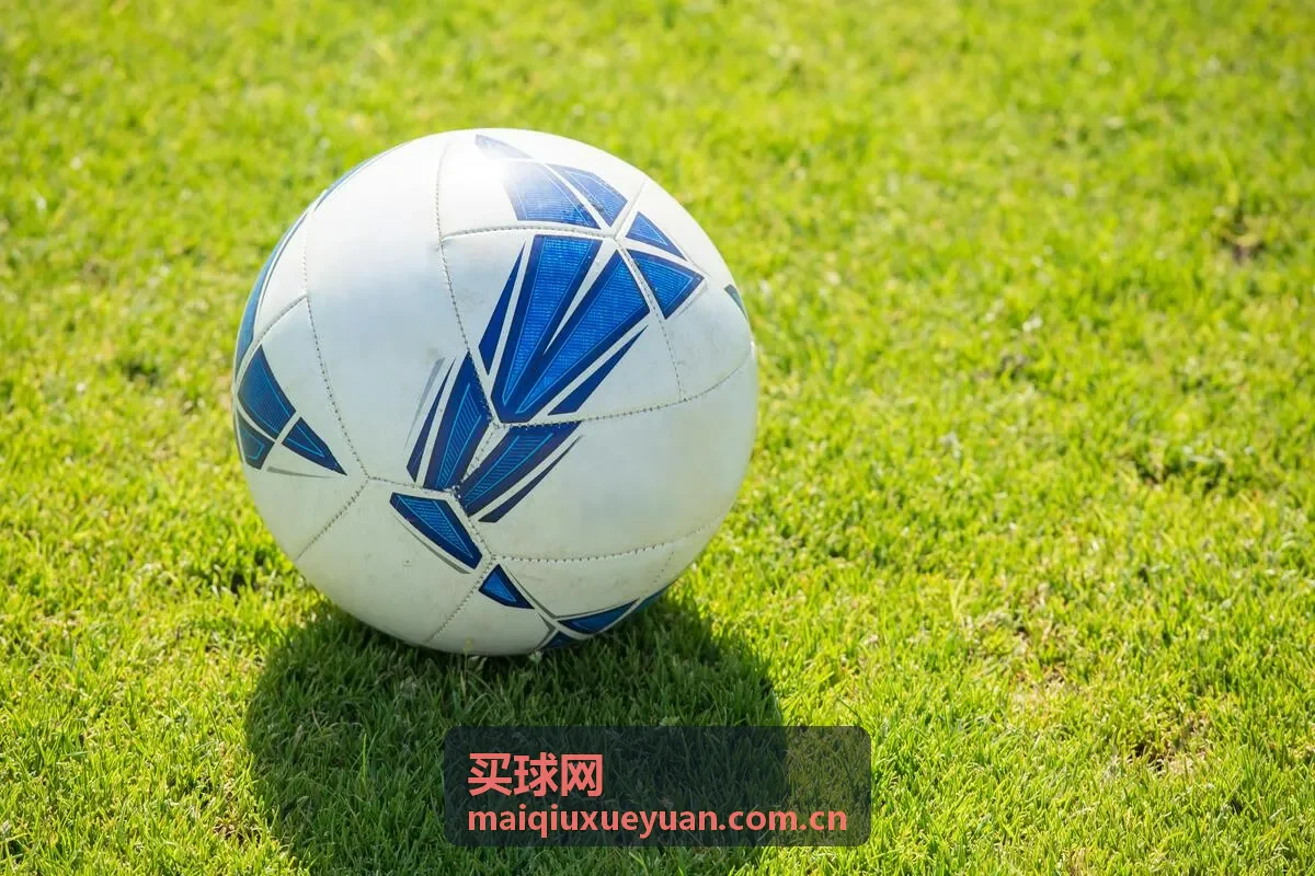 羽毛球知识指南-买球网